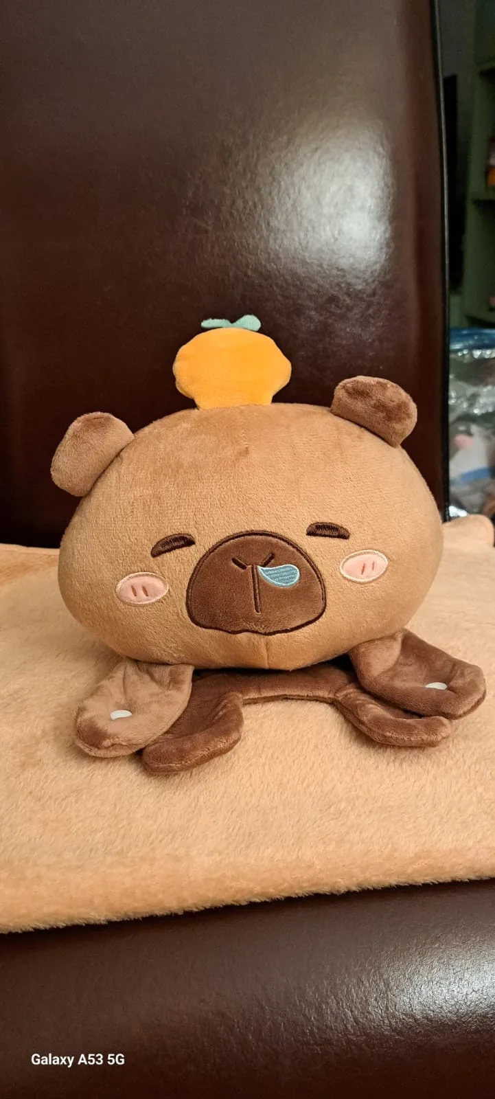 Capybara knuffel deken
