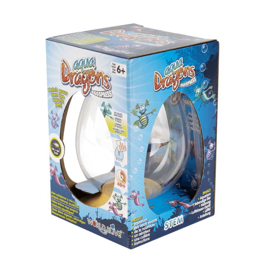 Aqua Dragons Eggspress