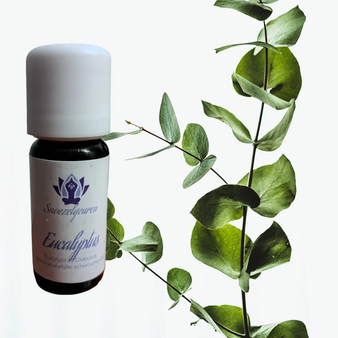 Eucalyptus