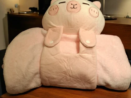 biggetje knuffel deken